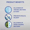 thumbnail image 4 of Lysol Spring Waterfall Disinfectant Spray 355ml Aerosol (Pack of 3), 4 of 5