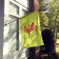 thumbnail image 2 of Carolines Treasures BB7644CHF Bactrian Camel Drapeau Maison en Toile Verte, Vert, 2 of 4
