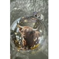thumbnail image 3 of 2026 Wildlife Wonders Collection Crystal Glass Ornament, Handcrafted 3D Animal Christmas Tree Decorations, Luxury Winter Tree Decor Sparkling Star Accents,Holiday Ornaments, 3 of 4