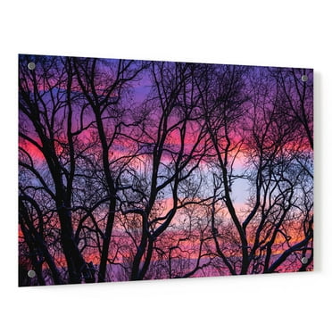 Epic Art 'Sunrise in the Trees' by Darren White, Acrylic Glass Wall Art, 36"x24"