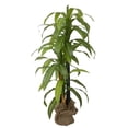 thumbnail image 1 of Faux Plant/Tree, 1 of 2