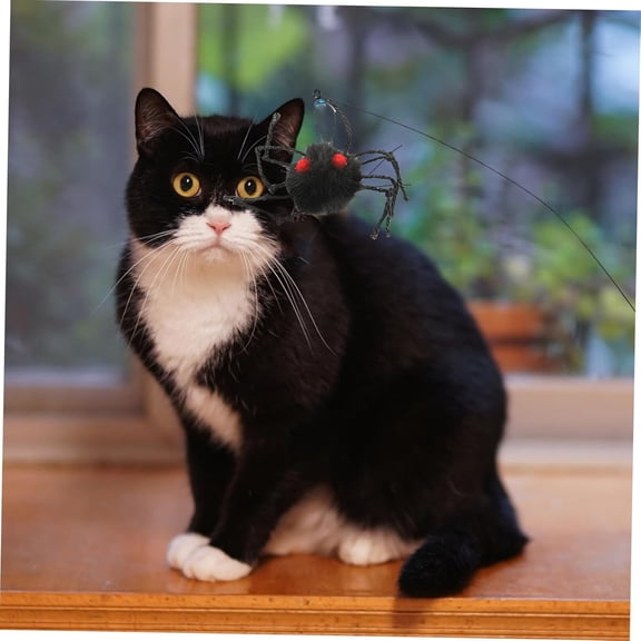 Interactive Cat Feather Wand Toy with Replacement Teaser Tips Safe Durable Kitten Exercise Play Hunting Toy