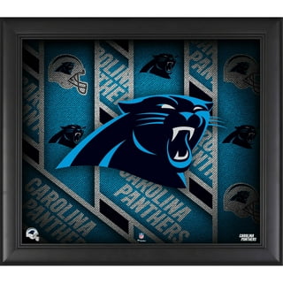 Carolina Panthers Collectibles in Carolina Panthers Team Shop 