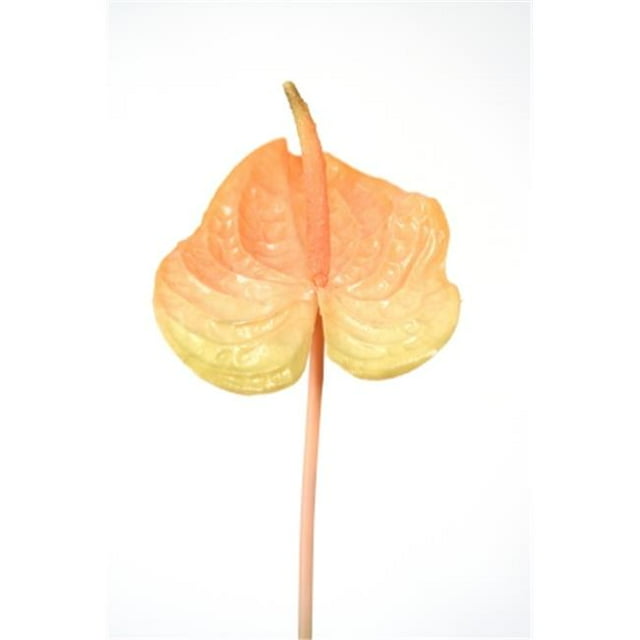 Distinctive Designs DS-8712-PC DIY Fleur Grande Pêche Anthurium avec Tige Naturelle - Pack de 6
