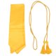 thumbnail image 1 of 2 piezas de estola de graduación, bata de bachillerato, gorra, borla, unisex, para adultos, sencilla, estola de graduación para estudiantes de graduación (dorado, 1 chal + 1 borla), 1 of 5