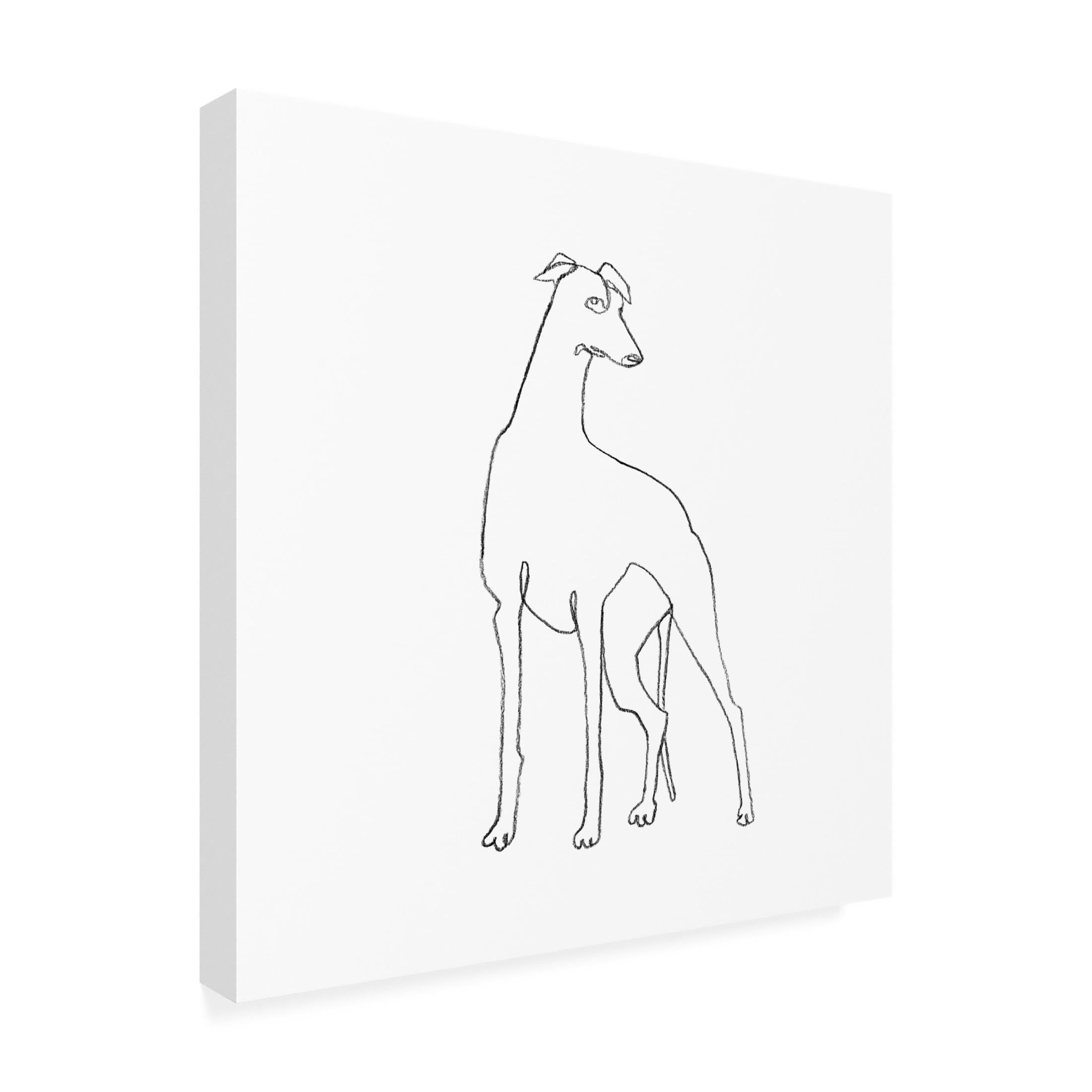 Canvas Wall Art - Emma Scarvey 'Greyhound Pencil Sketch I' Wall Art for Living Room, Bedroom, or Office Décor by Trademark Fine Art - 14 x 14 Inches