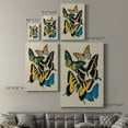 thumbnail image 4 of Collaged Butterflies II Premium Gallery Wrapped Canvas - Ready to Hang, 4 of 9