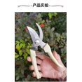 thumbnail image 3 of Tijeras de acero inoxidable para cortar flores, arreglos florales, poda de árboles frutales, ramas de jardín, injertos domésticos s202412243433, 3 of 4