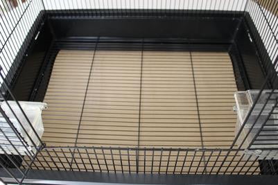 medium size bird cage
