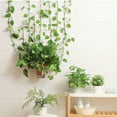 thumbnail image 5 of BToBackyard Vine Wall Fixing Device 10pcs Set Gardening Tools Supplies 3 Colors 10PCS ABS Material Snails Sticky Hook Plant Support, 5 of 21