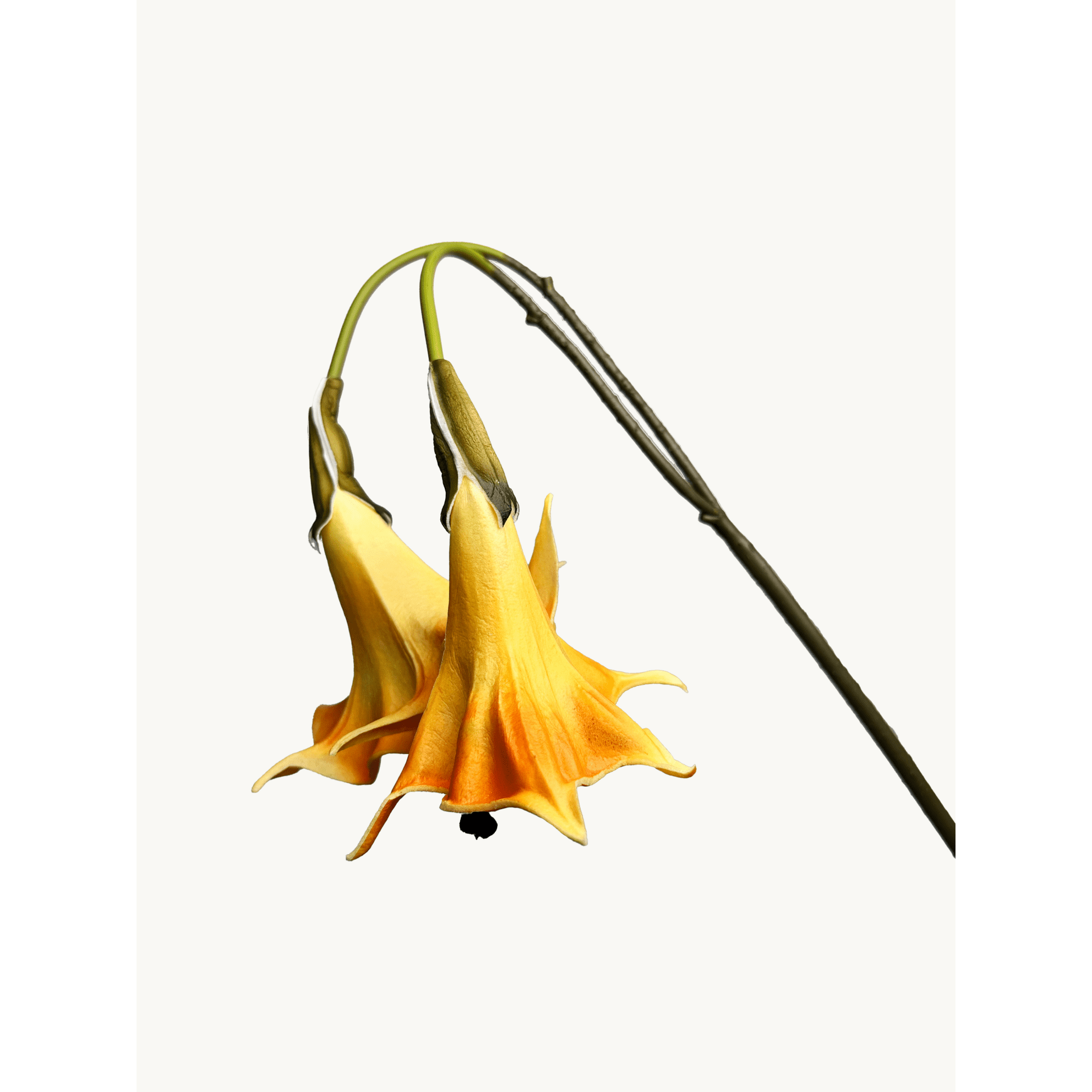 Amaranton 24" Realistic 2 - Bloom Angel's Trumpet - Orange 4pcs Artificial Flowers Bouquet for Gift Home Decor Indoor Outdoor Faux Bloom Angel's Trumpet Flower Fake Floral Arrangements