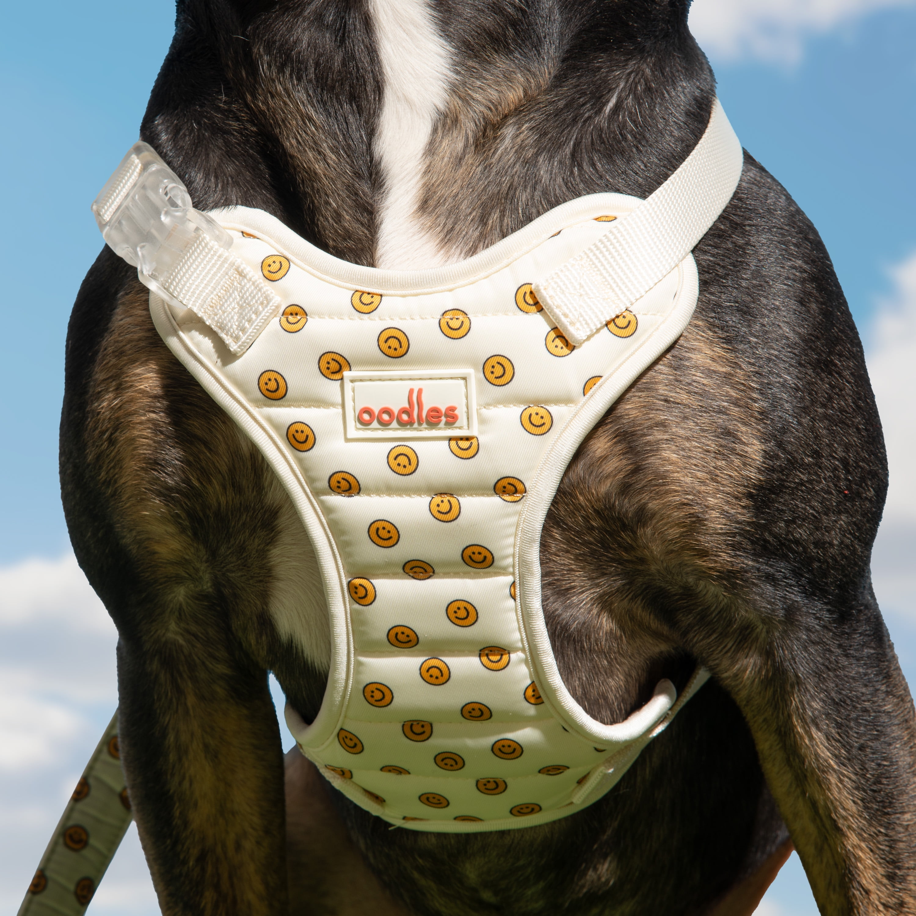 Oodles Tan Smiley Faces Quilted Adjustable Dog Harness, Medium