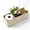 White, variant on 3 Compartment Divided Seagrass Storage Basket, 16.5x5.5x5.1 Inch Hand Woven Bathroom Organizer Tray, Natural Seagrass Basket for Countertop Toiletries Tissue Soap, White