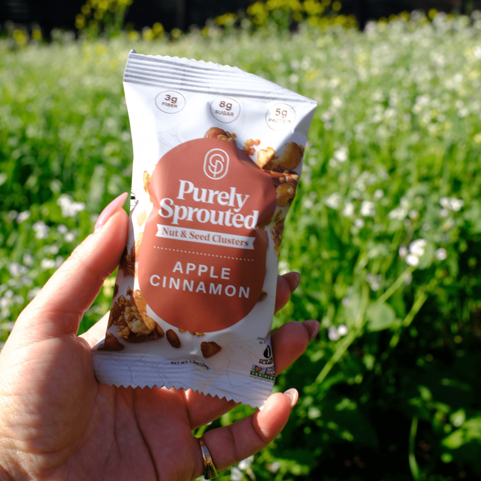 Purely Sprouted Apple Cinnamon Sprouted Nut & Seed Clusters, Non-GMO, 6 Pack, 1.2 oz