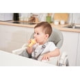 thumbnail image 4 of Combo Mordedor y Alimentador de Frutas para Bebés Smily Mia, Libre de BPA, 4 of 8