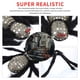 thumbnail image 2 of Araña Peluda De Halloween De 29.5 Pulgadas Con Ojos Rojos Cabeza De Calavera Araña De Felpa Decoración Pierna Ajustable Accesorios De Miedo Juguete Colgante Para Interior Y Exterior Advancent HA027547-01, 2 of 6