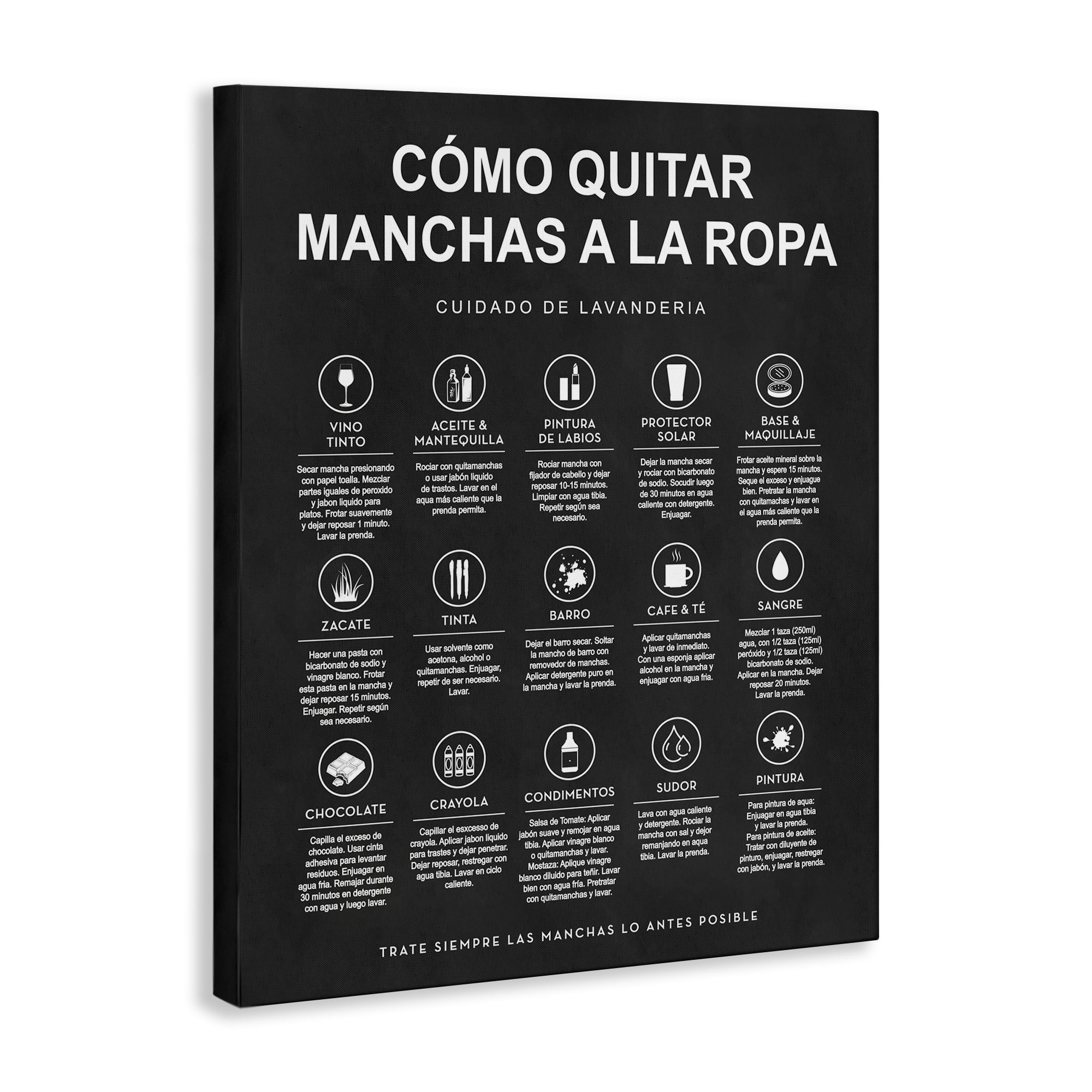 Stupell Industries Guía de Limpieza de Manchas, Negro Bath & Laundry Painting Wrapped Canvas Art Print Wall Art, 36 x 48