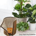 thumbnail image 3 of Winter Plant Frost Protection Cover Anti Freezing Uv Proof Plant Protection Bag, L(yu-1), 3 of 5