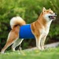 thumbnail image 5 of Cheers.US Pet Belly Band Adjustable Leak-proof Fabric Diaper Dog Shorts Pet Physiological Pants,Reusable, Breathable, Comfortable for Female Dogs, Male Dogs, and Puppy Dogs, 5 of 12