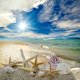 thumbnail image 1 of Kit de pintura por números DIY Starfish Oil Art Picture Craft Home Wall Decor (H1191), 1 of 9