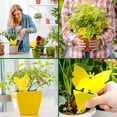 thumbnail image 4 of Atrapador de insectos pegajoso amarillo, 10 trampas para moscas de frutas de doble cara para protección de plantas de jardín interior al aire libre WD.WDQZL Hogar, 4 of 4