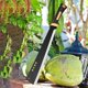 thumbnail image 3 of "- “Cuchillo de Hoz de Hacha de Limpieza de Cepillo de Gancho con Hoja de Acero al Carbono Machete de Hoz de Hierba para Cortar árboles, Hoz de Cosecha ma- “Negro, “20”, 3 of 4