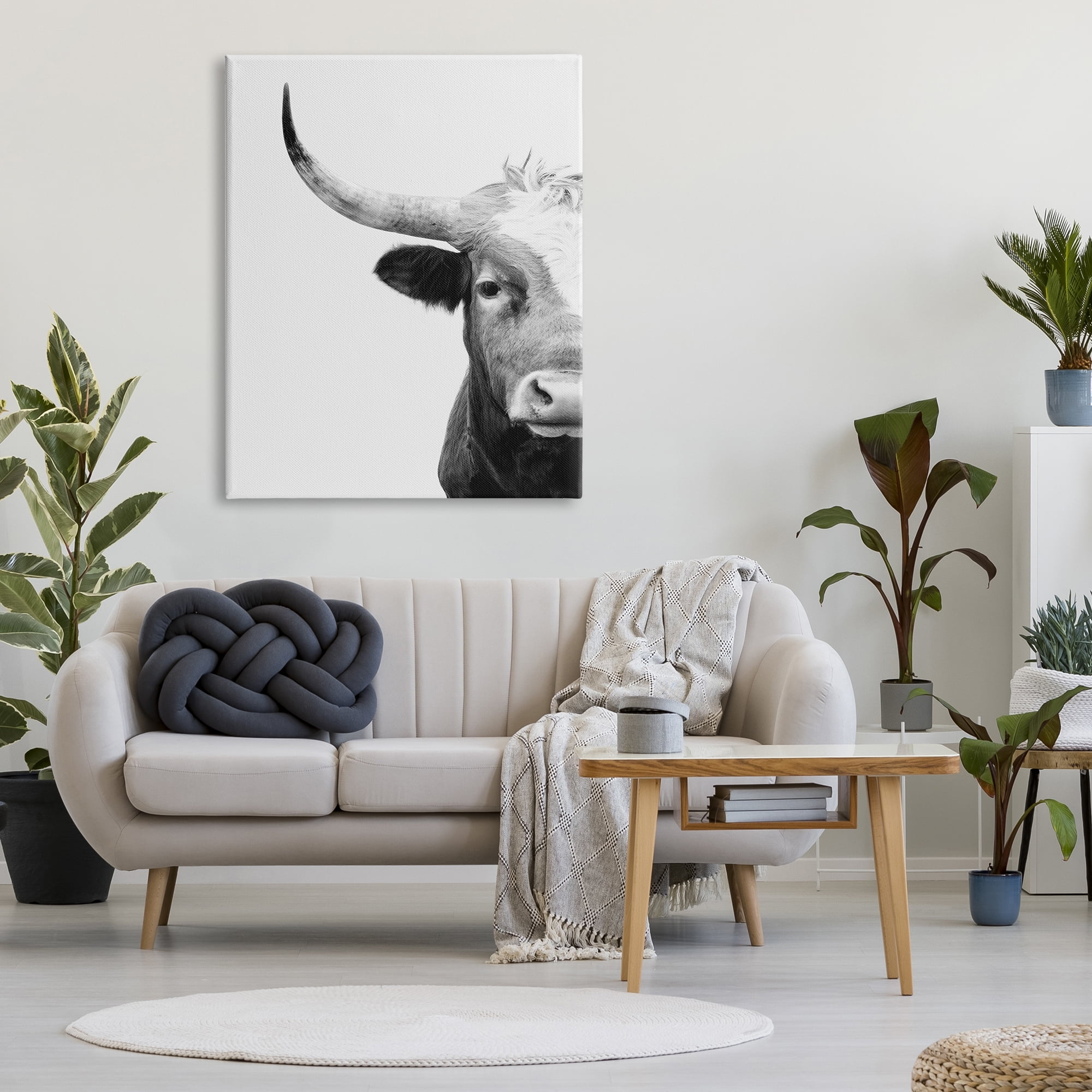 Stupell Industries Grey Longhorn Portrait Animals & Insects Photography Gallery Wrapped Canvas Print Wall Art, 36 x 48