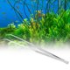 thumbnail image 3 of Herramienta de mantenimiento de peceras de acuario, pinzas curvadas de acero inoxidable para plantas y césped, 25cm/9,8 pulgadas, 3 of 8