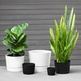 thumbnail image 2 of Root & Vessel Majestic Low Profile Cylinder Pot, Black, 8.5", 2 of 4