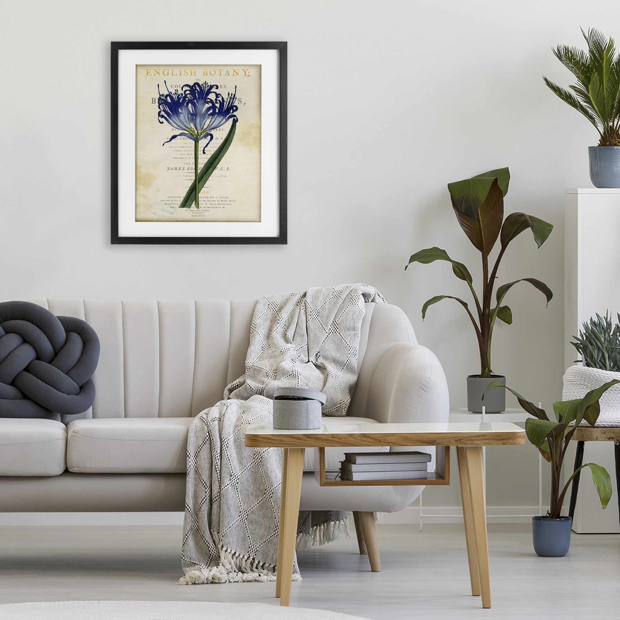 Stupell Industries English Botany Blue Floral Black Framed Print Under Glass, design by Susan Arnot