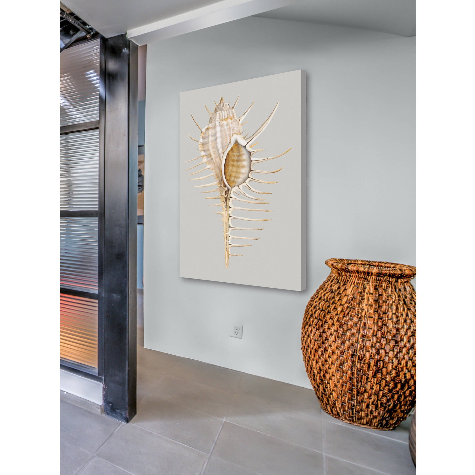Marmont Hill "Spiny Murex" Painting Print on Wrapped Canvas