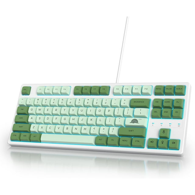 Biwat-75 pour Cent Clavier Mécanique de Jeu 87 Touches Clavier Matcha 75 % Clavier Filaire Disposition Compacte TKL avec Interrupteur Rouge Rétroéclairé RGB pour PC Portable (87 Matcha)