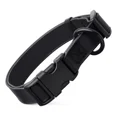 thumbnail image 1 of Collar Para Perro Dogline Biothane Impermeable Con Cierre Rá, 1 of 8