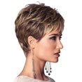 thumbnail image 3 of Peluca de estilo europeo y americano para mujer, cabello corto, esponjoso, realista, cabello corto y liso, peluca de fibra rubia con degradado gris, 3 of 4