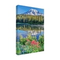thumbnail image 2 of Trademark Fine Art 'Wildflowers Reflection' Canvas Art by Pierre Leclerc, 2 of 3