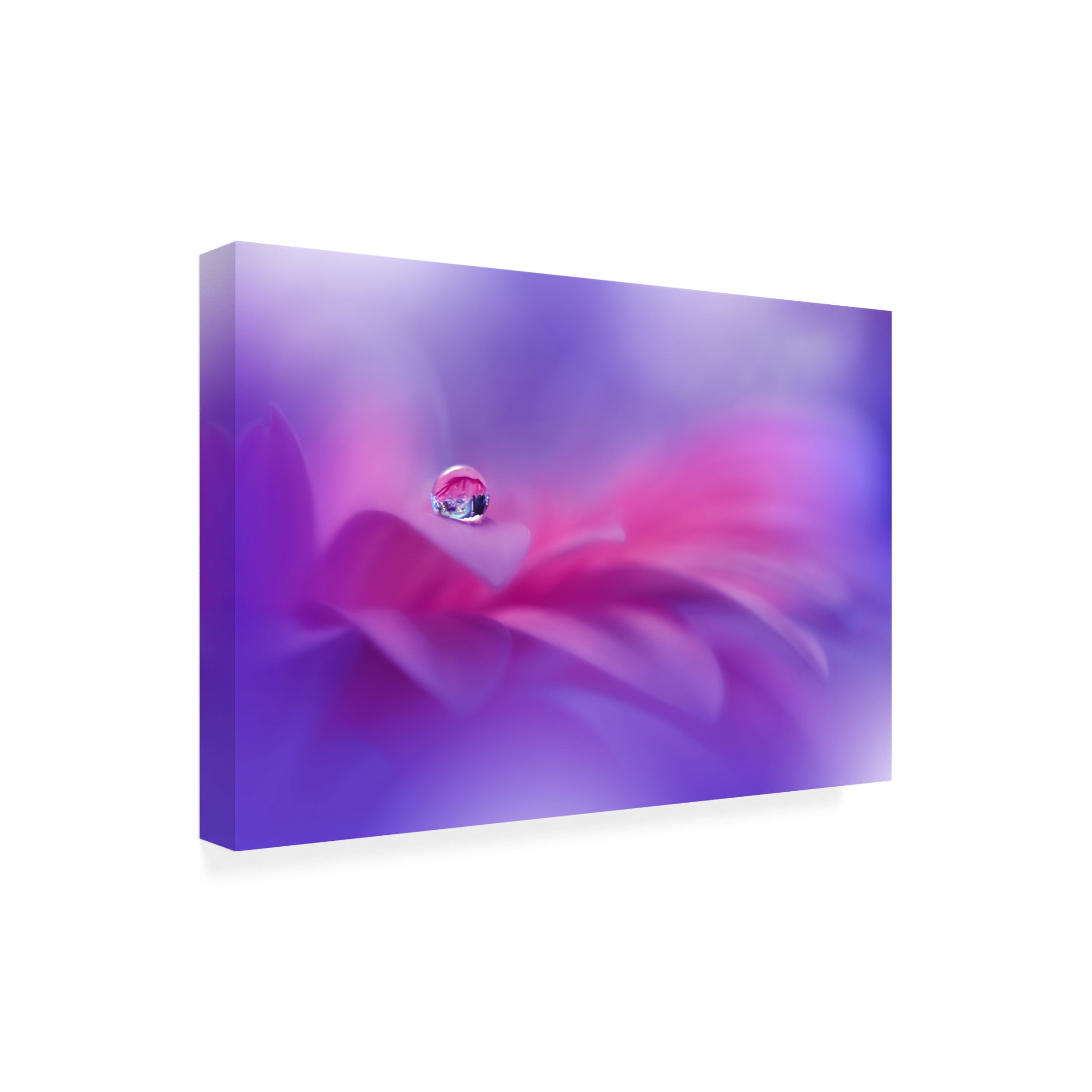 Trademark Fine Art Juliana Nan  Celebration of Life II Canvas Wall Art