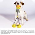 thumbnail image 3 of Juguetes para Perros TFixol Amarillo, 3 of 8