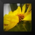 thumbnail image 2 of Tenoever, William 20x20 Black Modern Framed Museum Art Print Titled - Brittlebush, 2 of 5