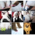thumbnail image 4 of Flmtop 20Pcs Pet Cats Kitten Anti-scratch Grooming Nail Paws Claw Cap Cover Protector China Red, 4 of 9
