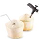 thumbnail image 1 of Práctica herramienta de abridor joven, perforadora, cuchillo, taladro, hace agujeros de paja, herramientas de cocina Soledad Abridor de coco, 1 of 10