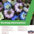 thumbnail image 2 of Harris Seeds Nigella Miss Jekyll Mix Organic Non-GMO, 250 Count, 2 of 7