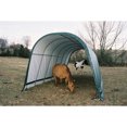 thumbnail image 3 of ShelterLogic 24 x 13 x 1 ft Green Ag. Run-In Shelter, 3 of 9