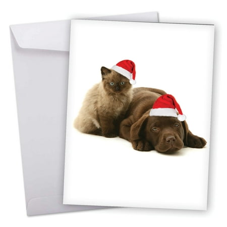 copy cats choc lab' jumbo christmas card with envelope 8.5 x 11 inch - cute chocolate labrador and himalayan cat wearing santa hat, stationery set for personalized happy holidays greeting