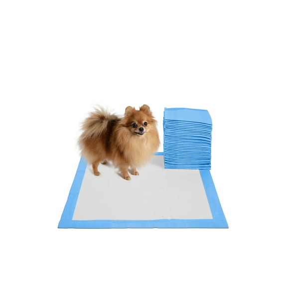 Paws & Pals Pet Puppy Training Pads Durable 5-Layer Leak-proof Pee Pads (30 Count) (22 x 22 inches)