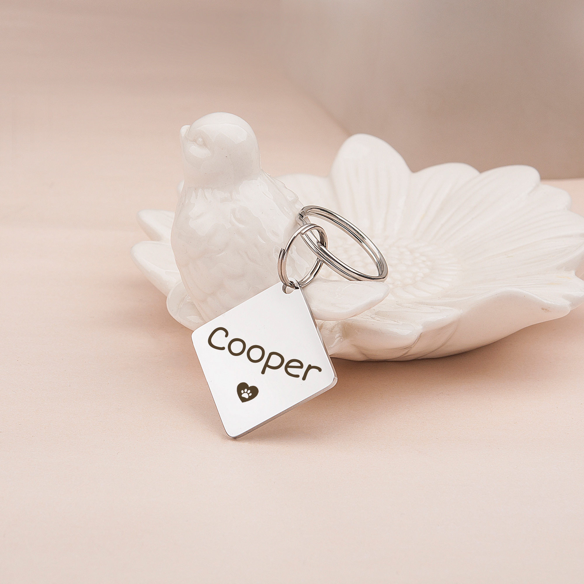 Anavia Stainless Steel Metal Diamond Name - Icon Birthday Holiday Christmas Engraved Dog Cat ID Tag, Silver