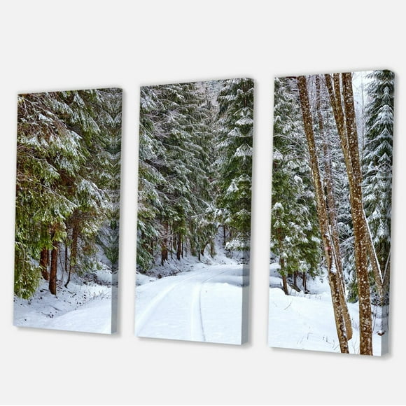 Designart Snowy Road in the Forest Canvas Wall Art