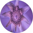 thumbnail image 1 of Ahgly Company Machine Washable Indoor Round Transitional Heliotrope Purple Area Rugs, 7' Round, 1 of 7