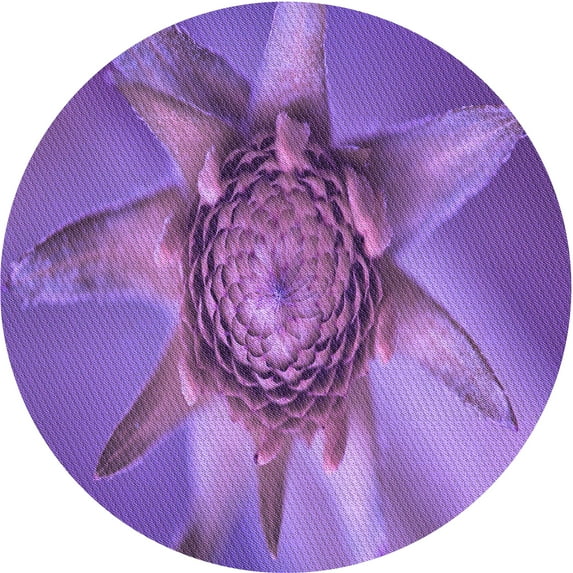 Ahgly Company Machine Washable Indoor Round Transitional Heliotrope Purple Area Rugs, 5' Round