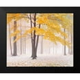 thumbnail image 2 of Becia, Jim 18x15 Black Modern Framed Museum Art Print Titled - Early Autumn Snow, 2 of 5