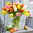 thumbnail image 2 of Bulbs are Easy Flower Bulbs - Tulip Assorted (80 bulbs), 2 of 2